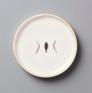 White ceramic plate with three dried bai mu dan leaves on a gray background