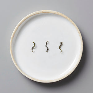 Anshun Maofeng green tea leaves displayed on white ceramic plate showing twisted leaf shape and quality