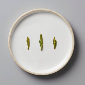 Session Longjing green tea leaves displayed on white ceramic plate, showing characteristic flat pressed dragonwell shape