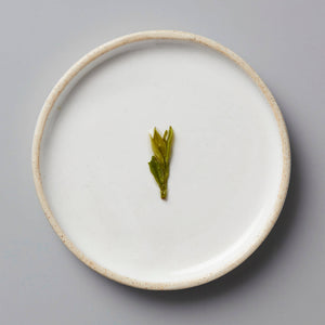 Session Longjing green tea leaves delicately displayed on a minimalist white ceramic plate with textured rim