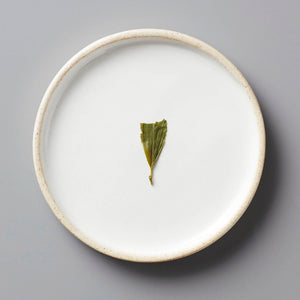 Sencha Fumi green tea leaf displayed on white ceramic plate with beige rim, minimalist presentation