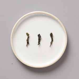 Three twisted Panlan Bei Dou unroasted oolong tea leaves arranged on a round white ceramic plate