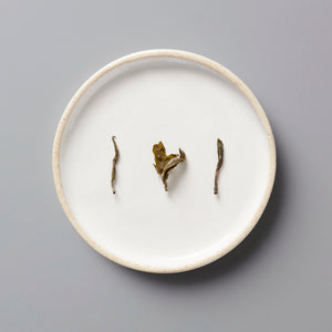 Nepal Prathama white tea leaves arranged on white ceramic plate showing delicate first flush buds