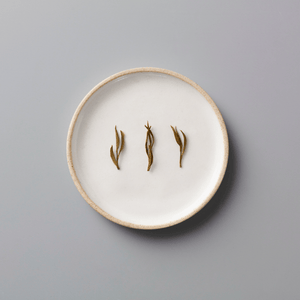 YINYU ANJI BAICHA green tea leaves displayed on white ceramic plate showing delicate twisted dry leaf shapes
