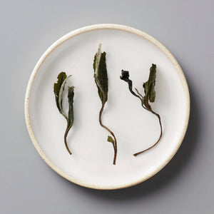 Fuding Bai Mudan white tea leaves displayed on white ceramic plate, showing delicate dried buds and stems