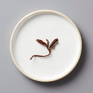 HUGO GREY black blend tea leaves artfully displayed on white ceramic plate with beige rim