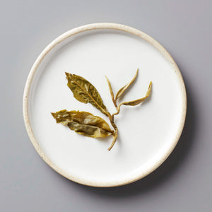 Jasmine Bai Hao scented green tea leaves elegantly displayed on white ceramic plate with cream-colored rim