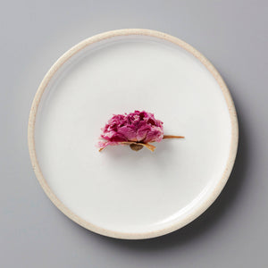 Single dried ROSE tisane bud on white ceramic plate with beige rim, minimalist presentation