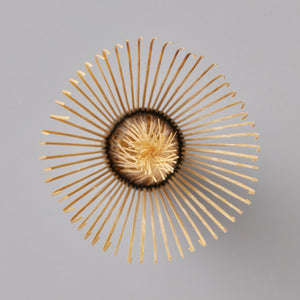 Chasen Tanimura handcrafted bamboo matcha whisk viewed from above showing radial pattern of delicate tines