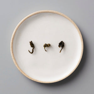 ANXI TGY oolong tea leaves displayed on a white ceramic plate with beige rim, showing three rolled dark leaves