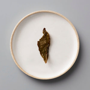ANXI TGY oolong tea leaf on white ceramic plate showcasing the twisted, dark olive-green leaf characteristic of tieguanyin