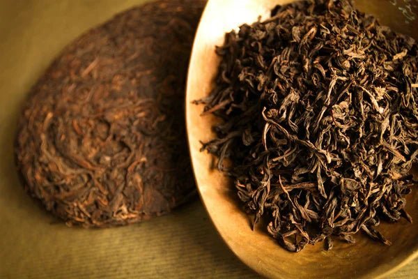 Aging Tea: Which Tea Types Improve with Time (and How to Store Them)