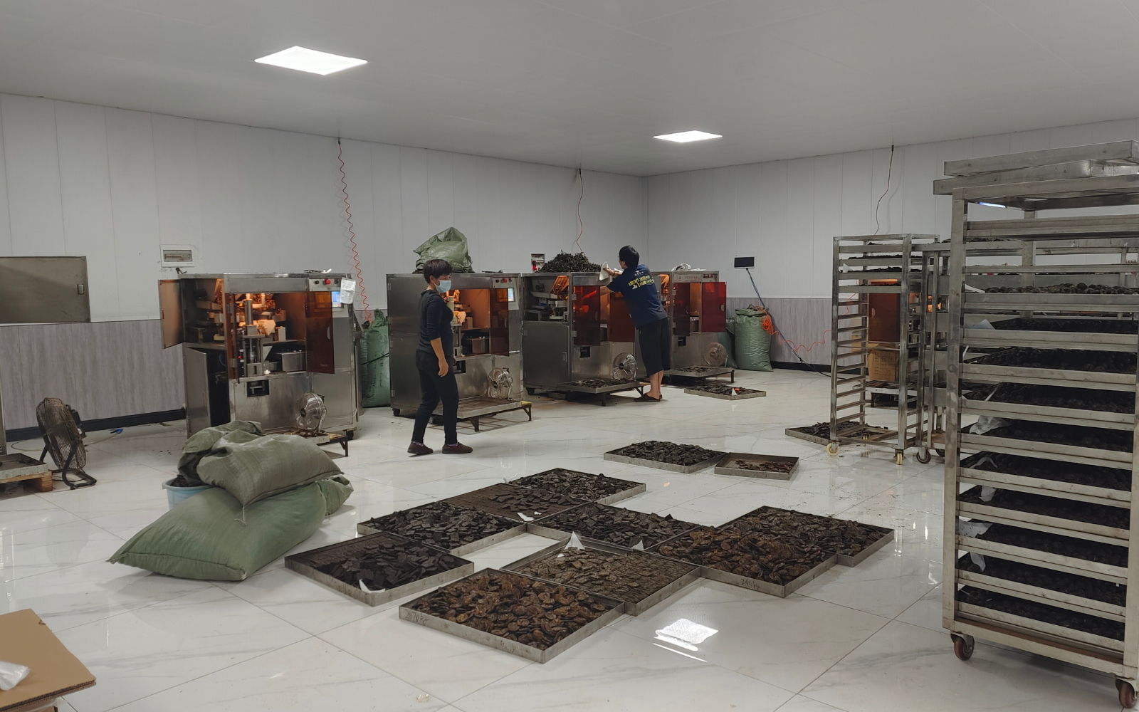 Open room with trays of pu'er tea cakes on the floor and racks, two people working with processing machines, industrial setting, organized and busy atmosphere.