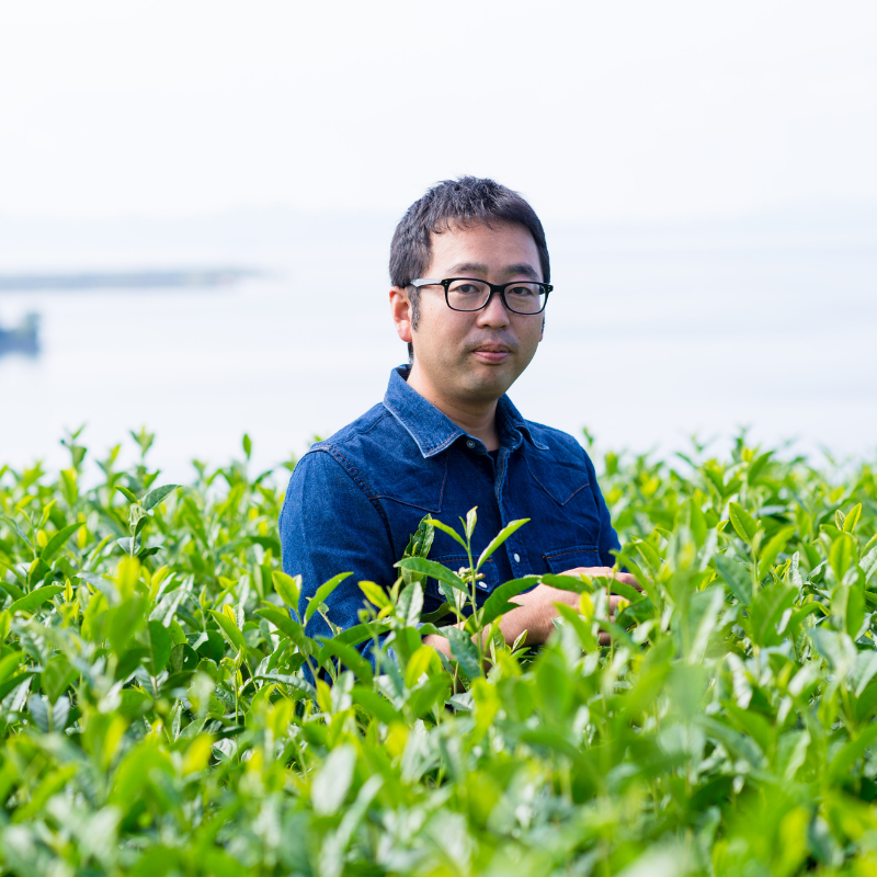 A man wearing glasses and a denim shirt stands amid vibrant green tea plants, with a serene body of water in the blurred background under a clear sky.