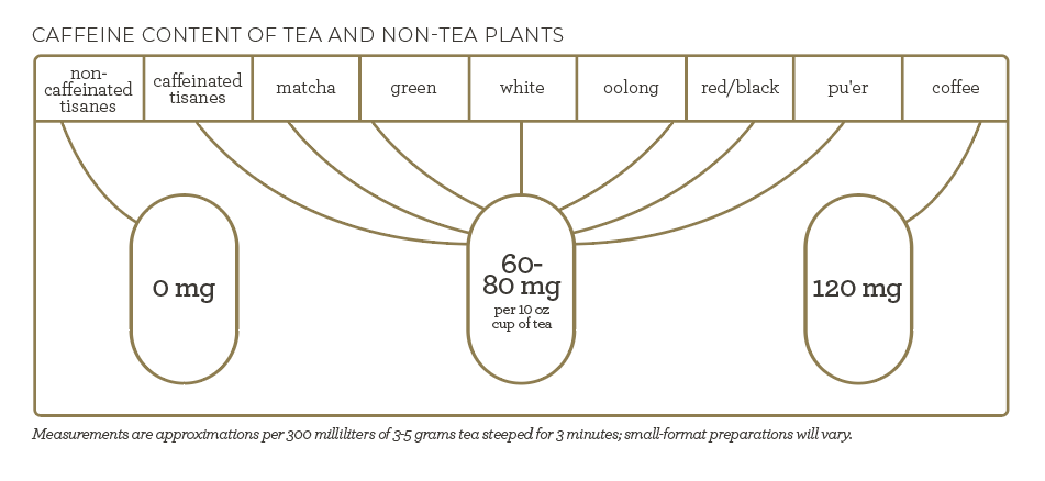Chart showing caffeine content: non-caffeinated tisanes at 0 mg, matcha, green, white, oolong, red/black, pu'er teas at 60-80 mg, coffee at 120 mg per 10 oz.