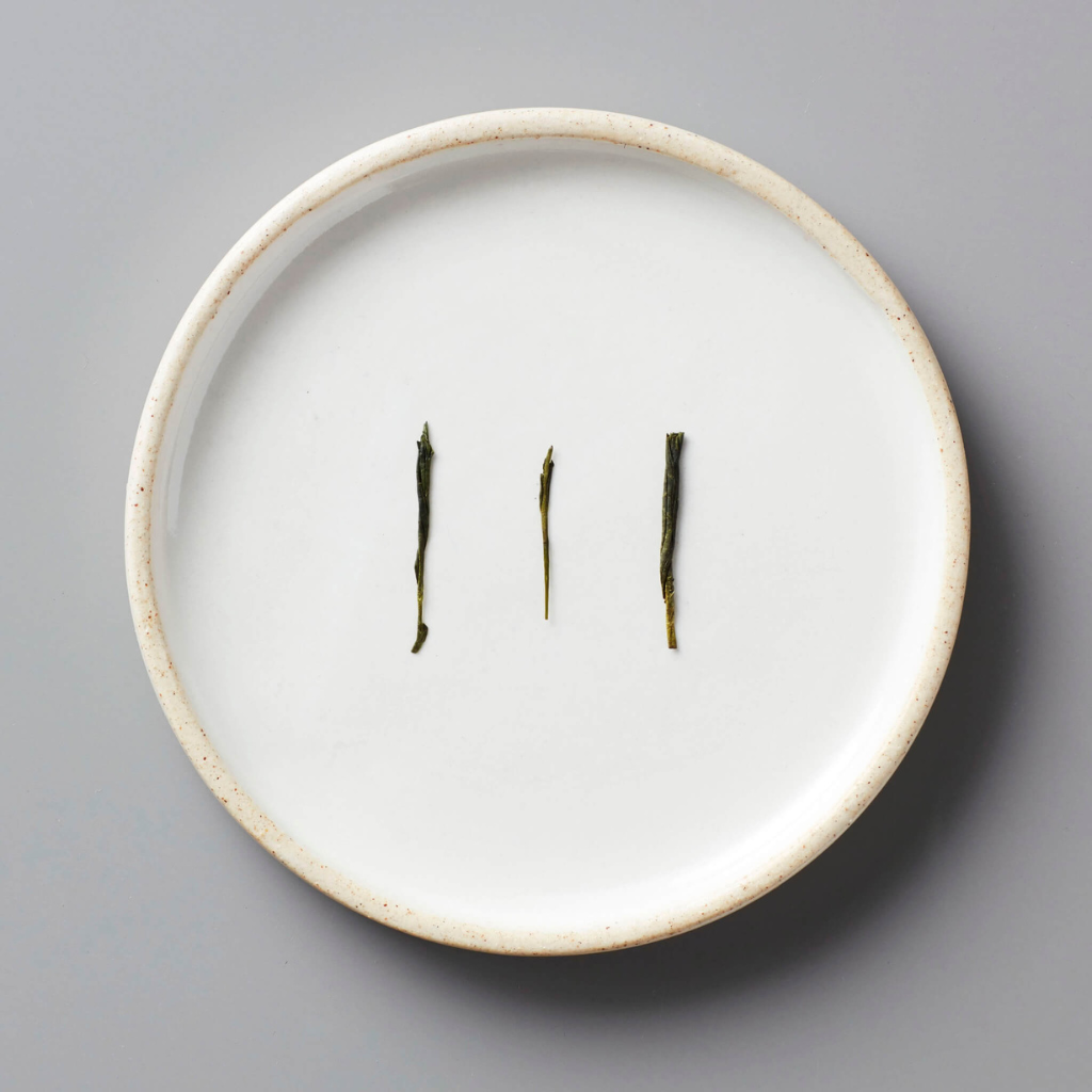 Three dried green tea leaves are neatly arranged in a row on a simple white ceramic plate against a gray background, conveying minimalism and calmness.