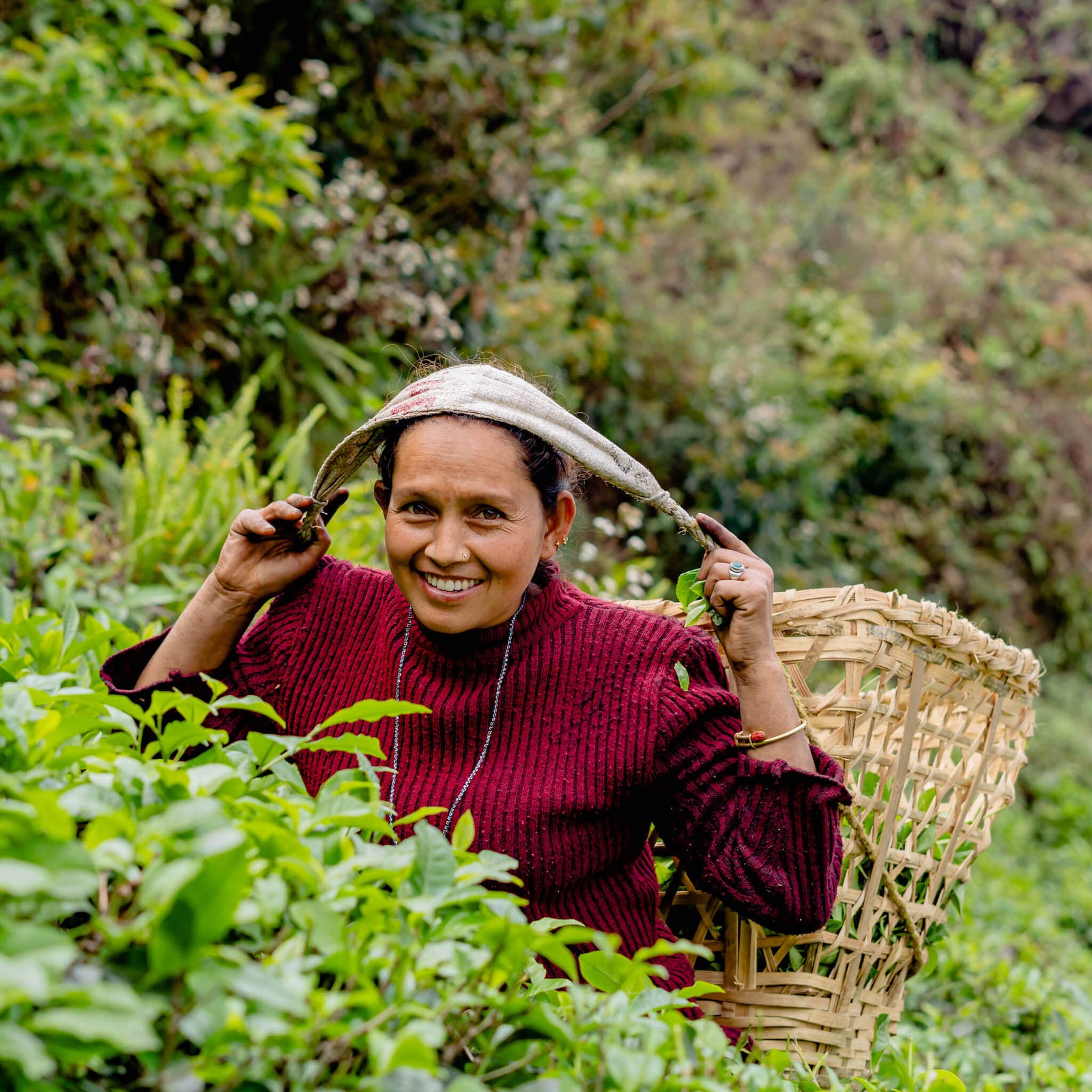 A smiling woman in a red sweater holds a headscarf, standing in lush greenery. She carries a woven basket on her back, conveying a joyful, hardworking spirit.