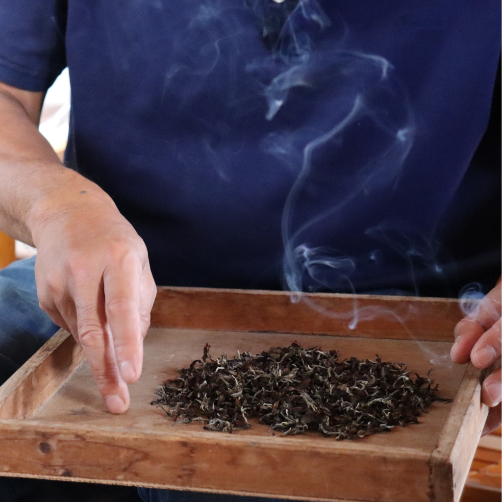 Brusing Tea The Art of Bruising in Oolong Tea - Hugo Tea Company