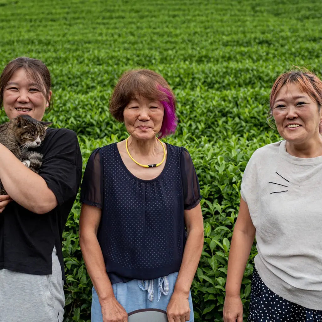 Three women smiling in front of a lush green field. One woman holds a cat. The atmosphere is relaxed and joyful, with a sense of camaraderie.