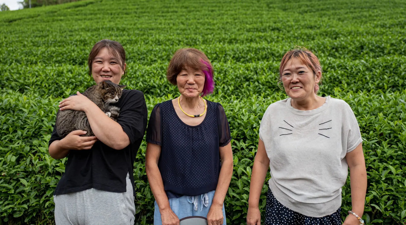 Three women stand smiling in front of lush green tea plants. One holds a cat, and the scene conveys warmth and companionship.