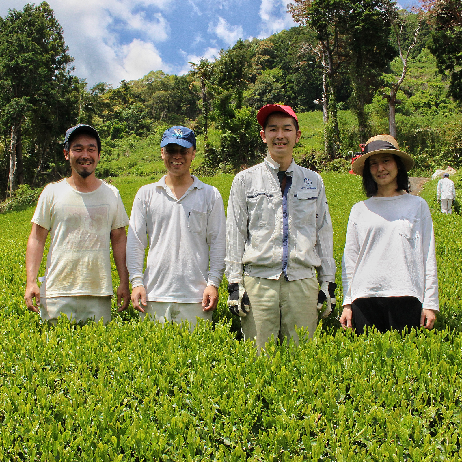 Four people smile while standing in a lush tea field under a bright sky. They wear casual and work clothing, projecting a sense of camaraderie and joy.