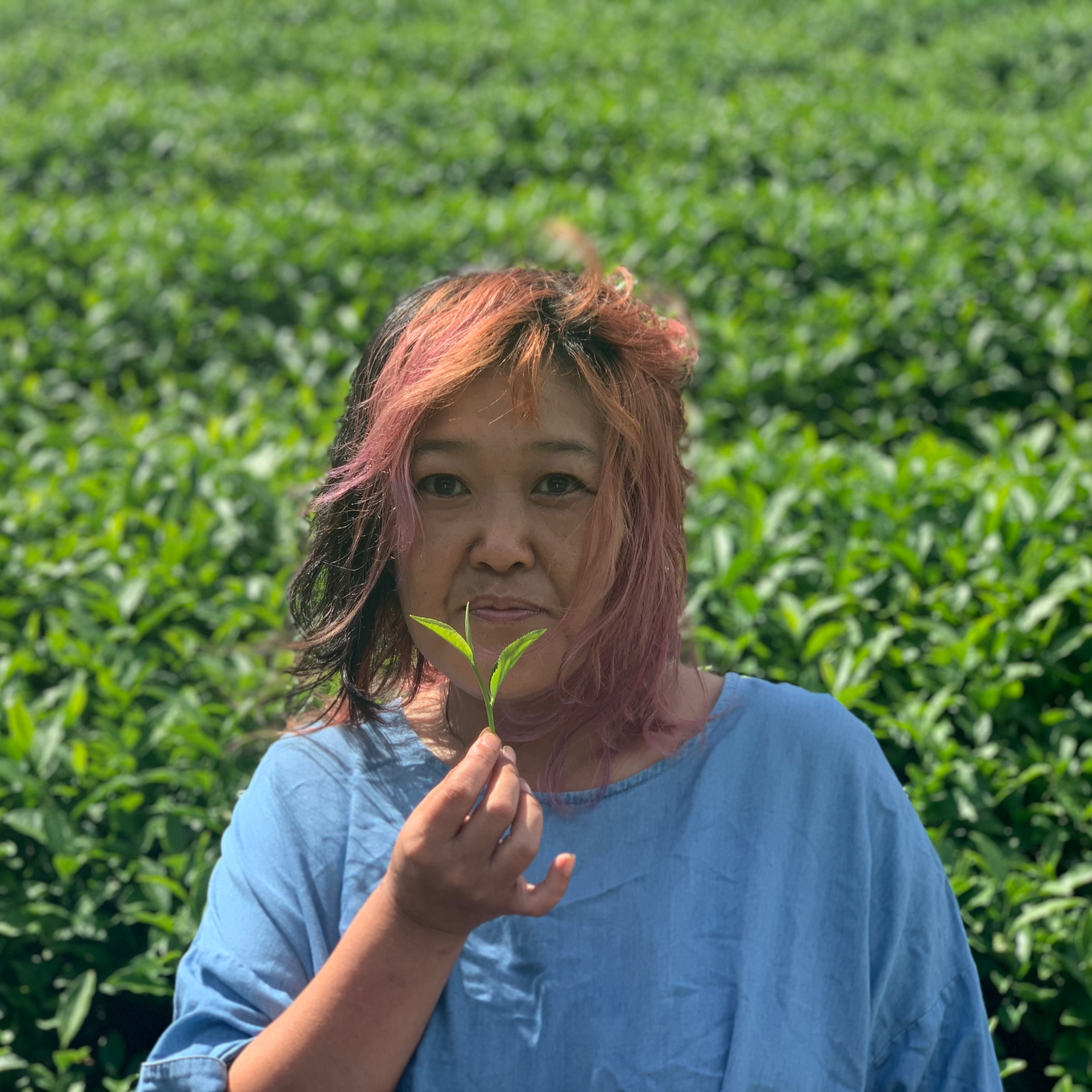 A person with pink hair holds a small plant in front of a lush green field. They wear a light blue shirt and have a serene expression, evoking calmness.