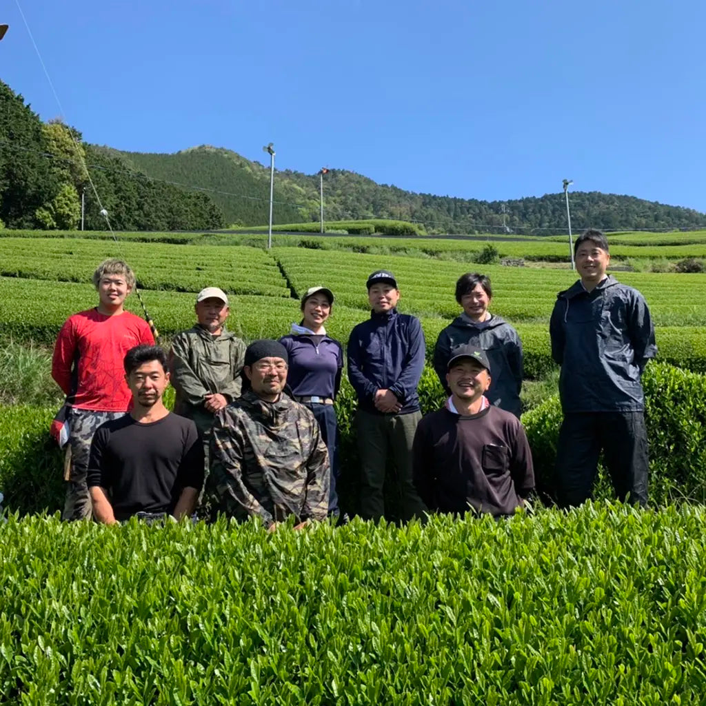 A group of nine people posing in a lush tea field under a clear blue sky, surrounded by green hills. The mood is cheerful and relaxed.