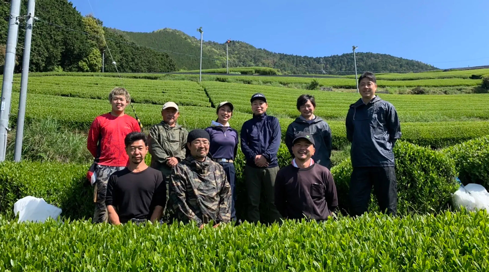 A group of nine people smiling in a lush green tea field under a clear blue sky. The scene is vibrant and cheerful, set against rolling hills.