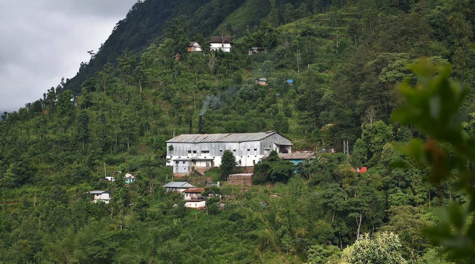 A large white building surrounded by smaller houses is nestled in a lush, green hillside. Dense trees cover the sloping terrain under a cloudy sky.
