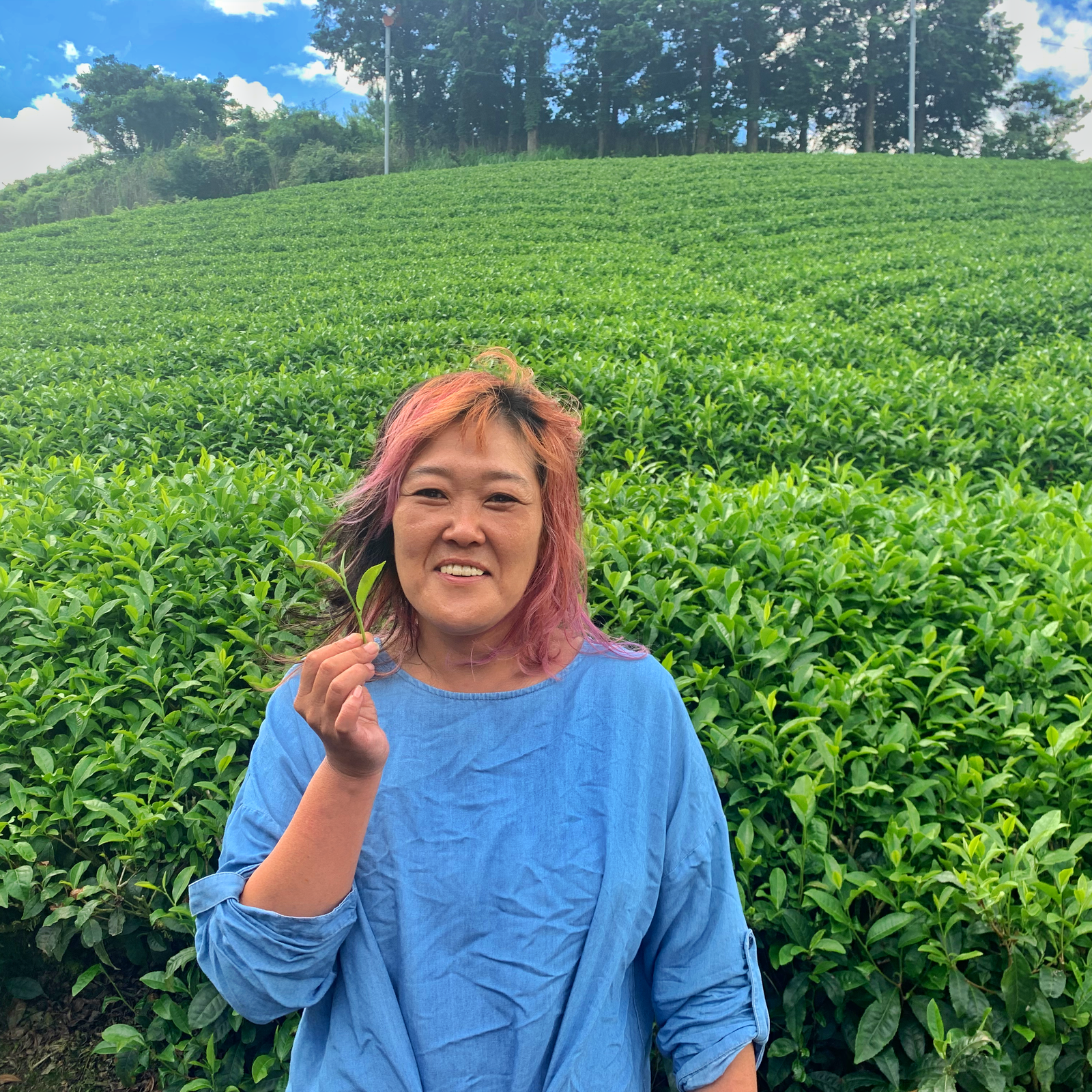 A person with pink hair holds a small plant in front of a lush green field. They wear a light blue shirt and have a joyful expression, evoking calmness.