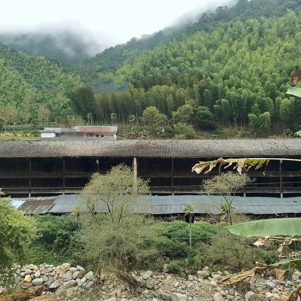 A large tiled-roof building amid lush green bamboo forest with misty mountains in the background. The foreground has rocks and leafy plants, conveying a serene, rural atmosphere.