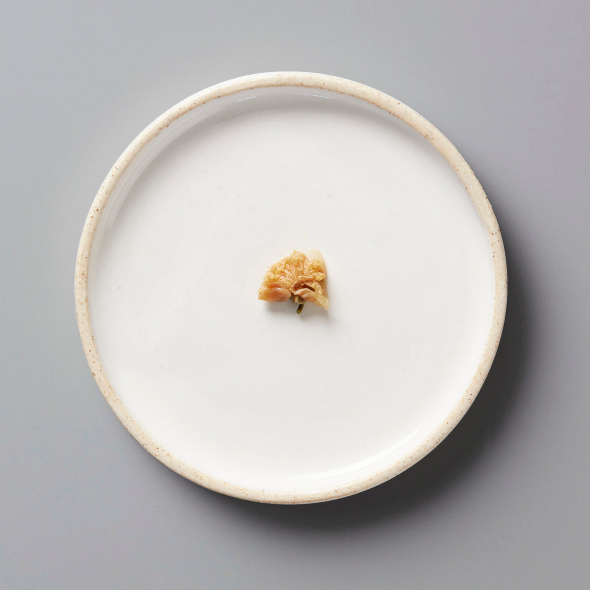 Dried Japanese tea flower tisane on white ceramic plate, showcasing delicate golden petals from Wazuka, Kyoto