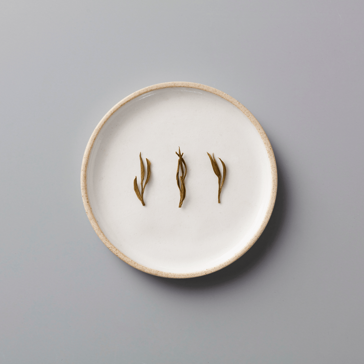 YINYU ANJI BAICHA green tea leaves displayed on white ceramic plate showing delicate twisted dry leaf shapes