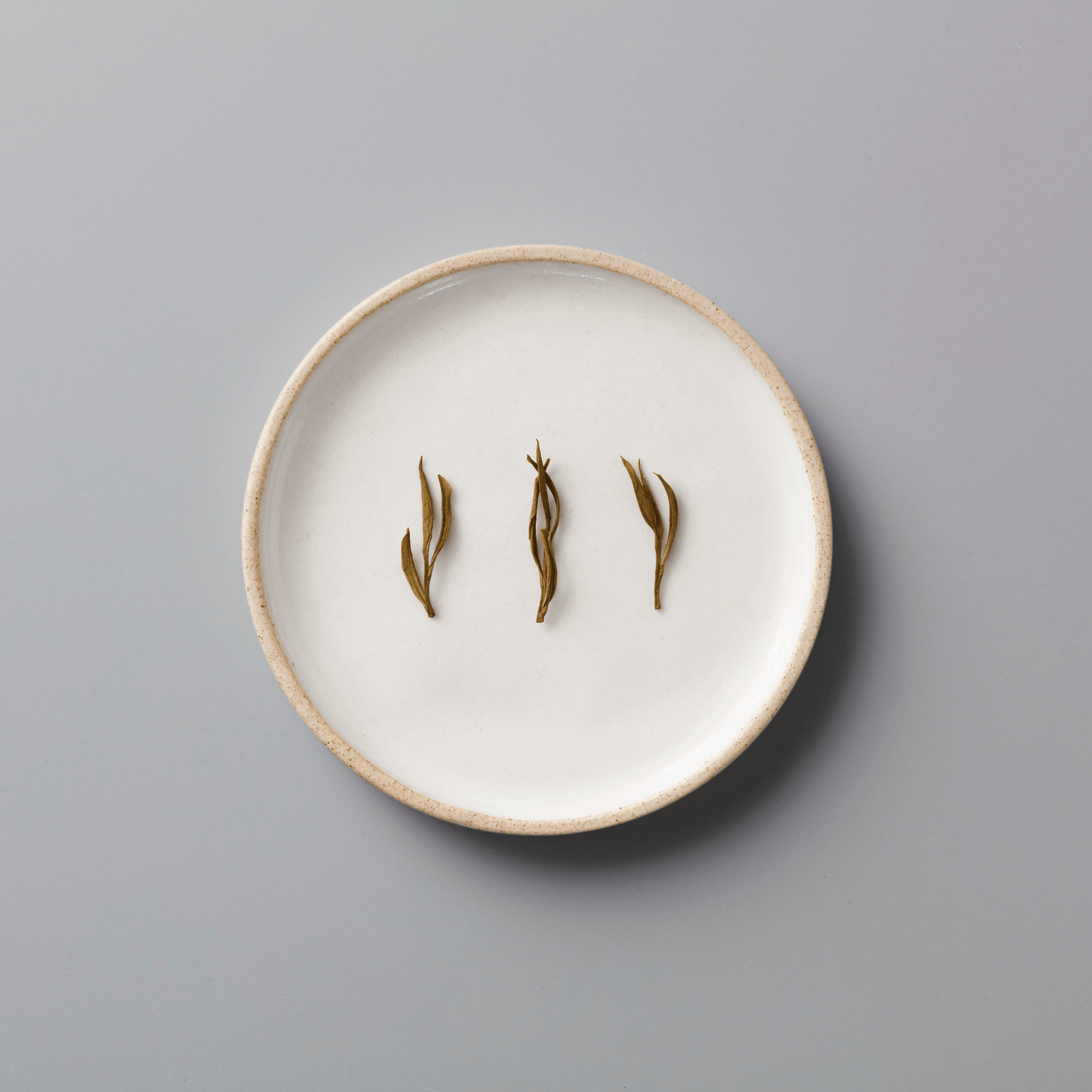 YINYU ANJI BAICHA green tea leaves displayed on white ceramic plate showing delicate twisted dry leaf shapes