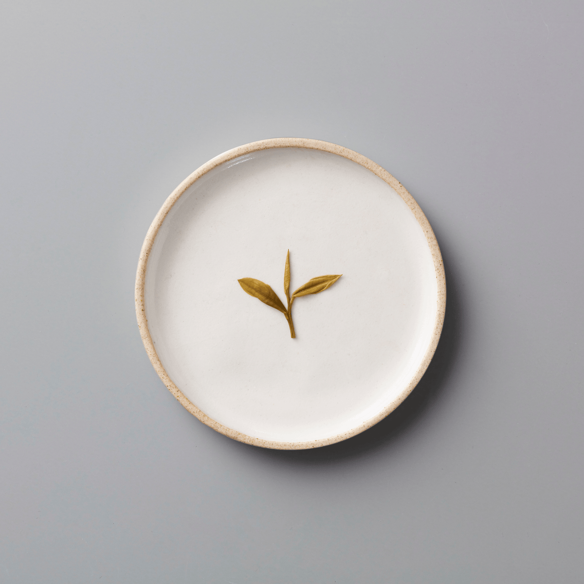 YINYU ANJI BAICHA green tea leaves displayed on a white ceramic plate with beige rim against grey background