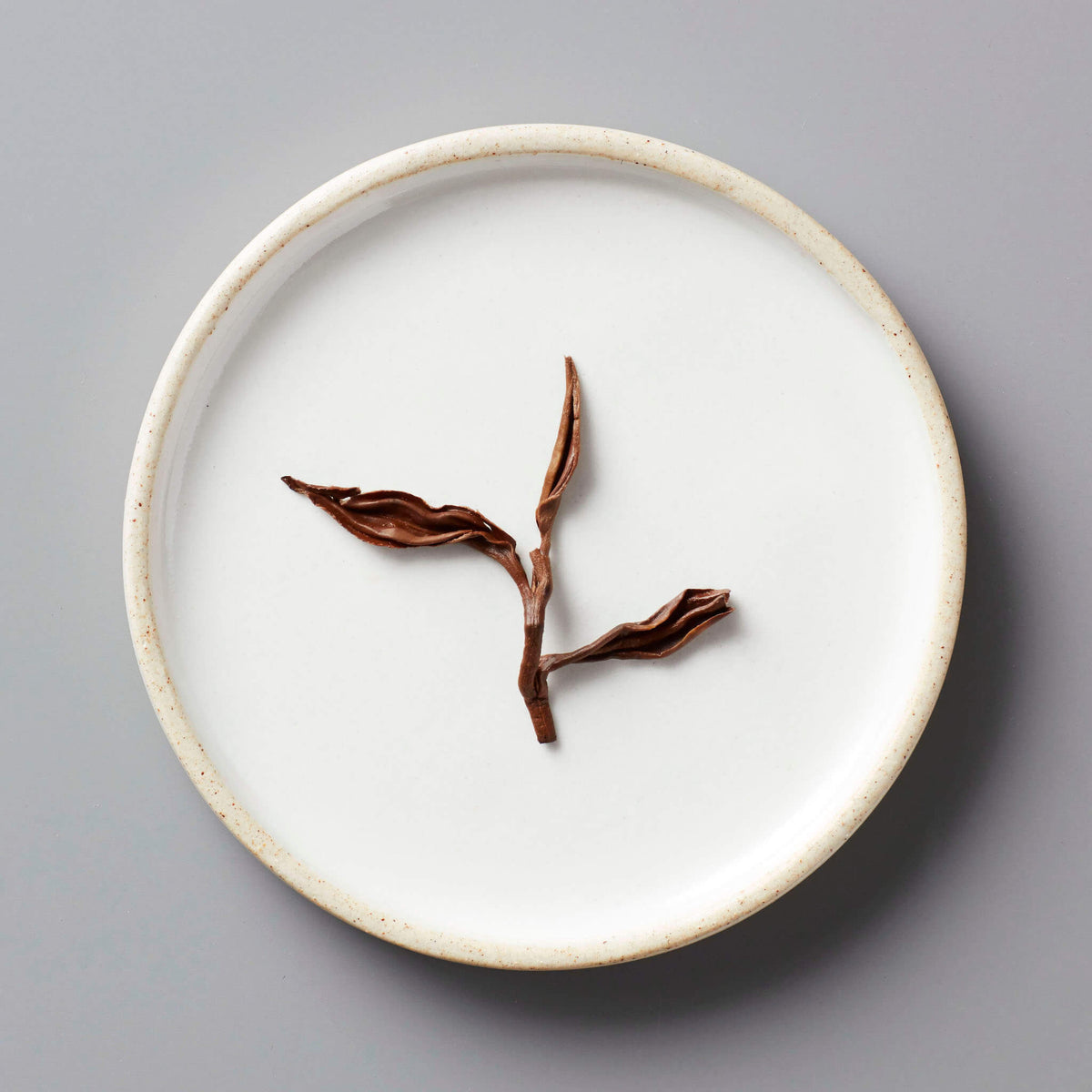 GAO WEN black tea leaves artistically arranged on white ceramic plate showing delicate twisted stems and leaves