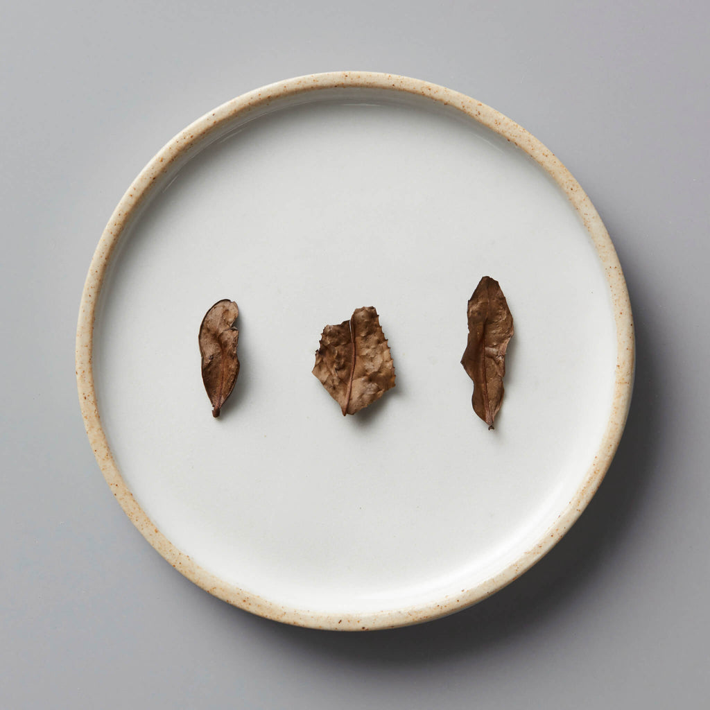 KYOBANCHA NAKAI | green - Hugo Tea Company