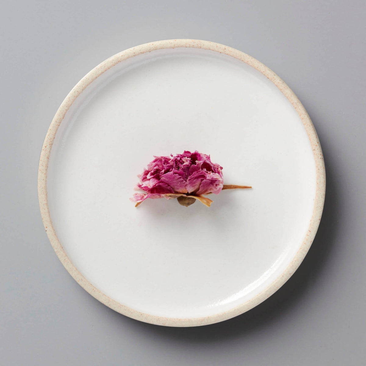 Single dried ROSE tisane bud on white ceramic plate with beige rim, minimalist presentation