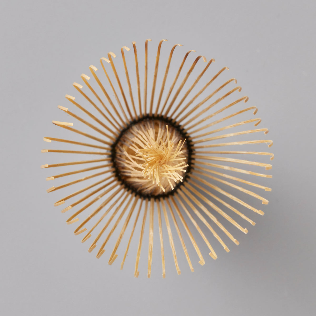 Chasen Tanimura handcrafted bamboo matcha whisk viewed from above showing radial pattern of delicate tines